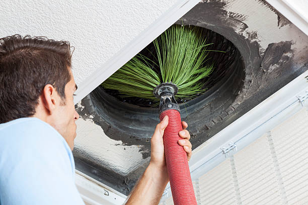 Best Home Air Vent Cleaning  in Hampton, IL