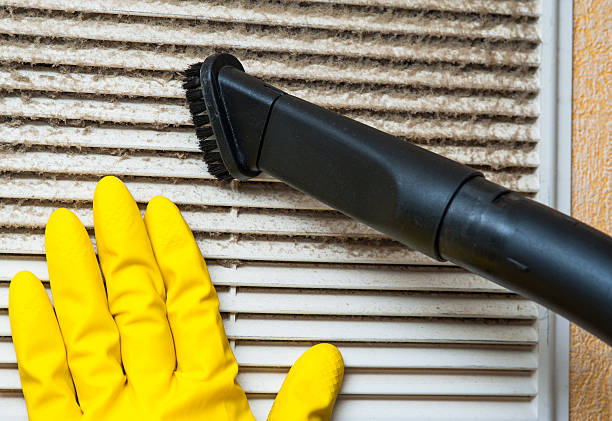 Best General Air Duct Cleaning  in Hampton, IL
